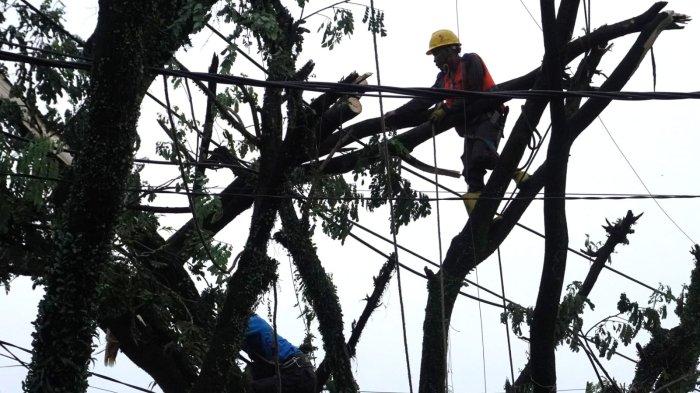 Petugas PLN UP3 Majalaya mengevakuasi dahan pohon yang patah menimpa kabel listrik hingga putus saat melakukan perbaikan jaringan listrik di Jalan Katapang Andir, Desa Bojongmalaka, Kecamatan Baleendah, Kabupaten Bandung, Jawa Barat, Rabu (28/2/2024).