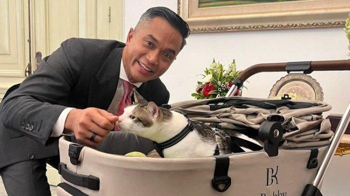 Ketua Umum Kamar Dagang dan Industri (Kadin) Indonesia Anindya Bakrie berpose bersama kucing Prabowo Subianto, Bobby Kertanegara, di Istana Merdeka, Minggu (20/10/2024).