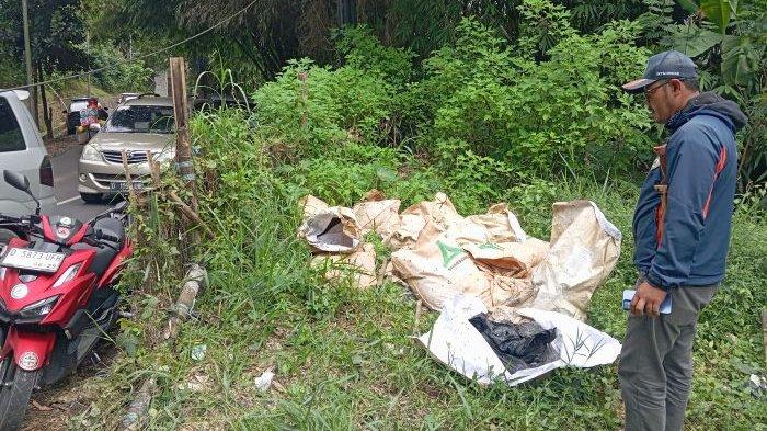 AYAM BUSUK - Daging ayam busuk puluhan karung teronggok di Jalan Kolonel Masturi, Desa Cikahuripan, Kecamatan Lembang, KBB, hingga menimbulkan bau busuk menyengat, Selasa (8/7/2025).