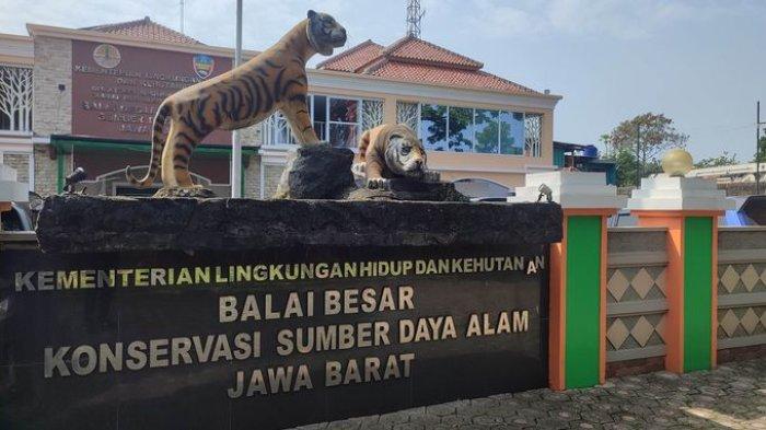 Kantor BBKSDA Jabar di Gedebage, Bandung.