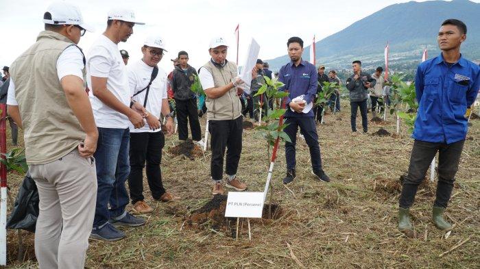 Pegawai PLN UIP JBT terjun langsung menjadi sukarelawan dalam kegiatan penanaman pohon bersama Kemeterian Lingkungan Hidup dan Kehutanan (KLHK) di Desa Pakuon, Kecamatan Sukaresmi, Kabupaten Cianjur. Kegiatan kepedulian lingkungan ini merupakan bagian dari Peringatan Hari Lahan Basah Sedunia yang jatuh pada tanggal 2 Februari.