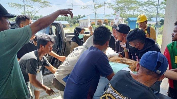 Pekerja buruh sawit yang diterkam buaya di Kabupaten Ketapang, Kalimantan Tengah, dilarikan ke rumah sakit.
