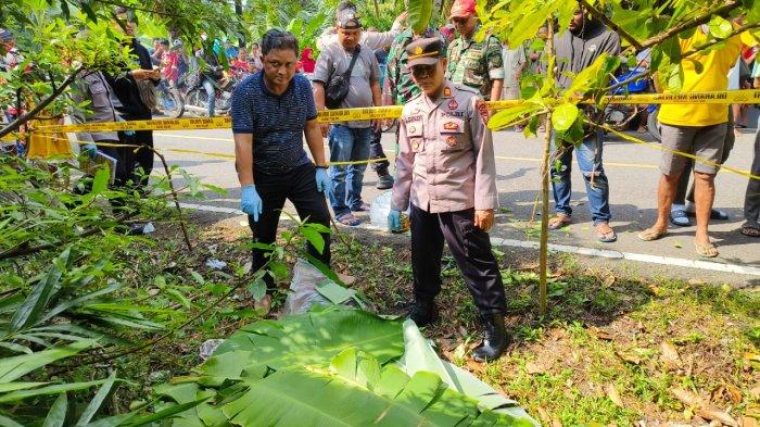 Polisi saat melakukan olah TKP penemuan mayat termutilasi di di Jalan Raya Cibalong, Kampung Bantar Limus, Desa Sancang, Kecamatan Cibalong, Kabupaten Garut, Jawa Barat, Minggu (30/6/2024) pukul 12.30 WIB.