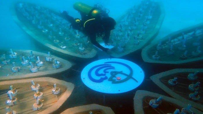 Potret wisata laut Pulau Temawan Anambas, Provinsi Kepulauan Riau. (TribunBatam.id/istimewa)