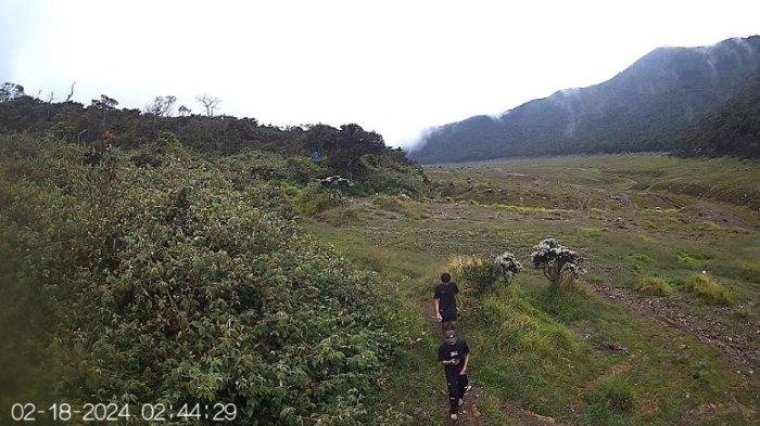 Sejumlah orang diduga pendaki melakukan aktivitas dan mendirikan tenda Kawasan Alun-alun Suryakencana, Gunung Gede - Pangrango saat jalur pendakian masih ditutup, Senin (19/2/2024)