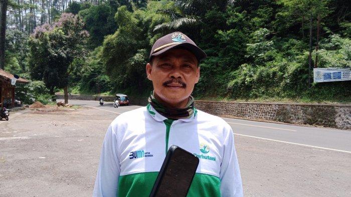 WAWANCARA - Kepala Resort Pemangkuan Hutan Rancakalong BKPH Maglayang Timur, Suryana saat diwawancara Tribun Jabar.id, di kawasan Cigendel, Pamulihan, Kabupaten Sumedang, Kamis (13/3/2025). Masyarakat yang hendak melaksanakan mudik Lebaran Idulfitri 1446 H melalui jalur arteri Bandung-Sumedang diminta waspada, terutama saat melintas di kawasan Jalan Cadas Pangeran, Kabupaten Sumedang.
