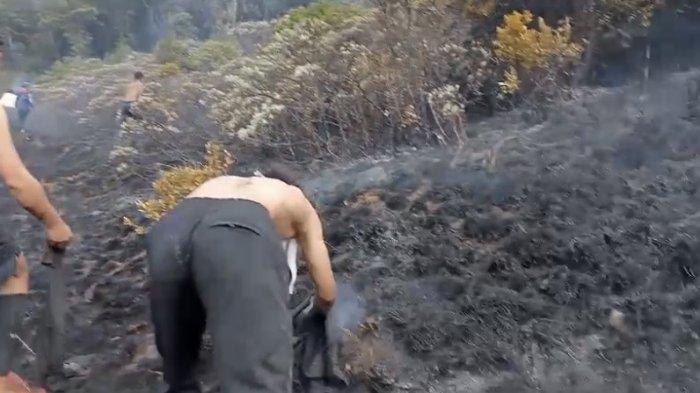 Area Alun-alun Suryakencana yang terbakar, Selasa (19/9/2023).