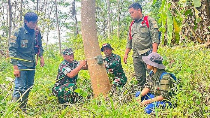 Pasukan Denharrahlat Kostrad bersama Ranger SCF memasang kamera trap di lereng pegunungan Sanggabuana untuk memantau pergerakan macan, Selasa (26/9/2023)