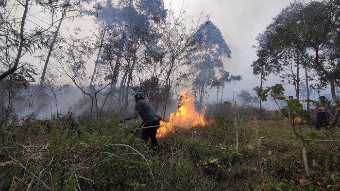 Masyarakat Peduli Api Garut membantu proses pemadaman lahan gambut di kaki Gunung Guntur Kabupaten Garut, Jawa Barat yang terbakar, Kamis (7/9/2023).