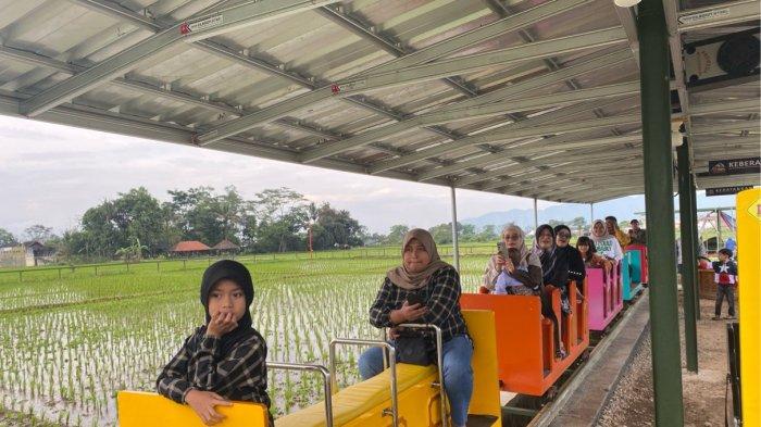 VIRAL - Dangdeur Van Java wahana wisata unik yang sedang viral. Destinasi wisata ini menawarkan naik kereta mini yang melaju di tengah hamparan sawah di Jalan Dangdeur Ciherang, Kiangroke, Banjaran.