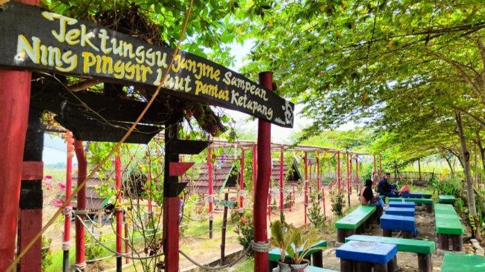 suasana perkebunan di pantai ketapang indramayu