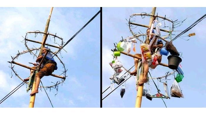 Viral, seorang nenek ikut lomba panjat pinang di Kampung/Desa Anjun, Kecamatan Plered, Purwakarta, terekam video.