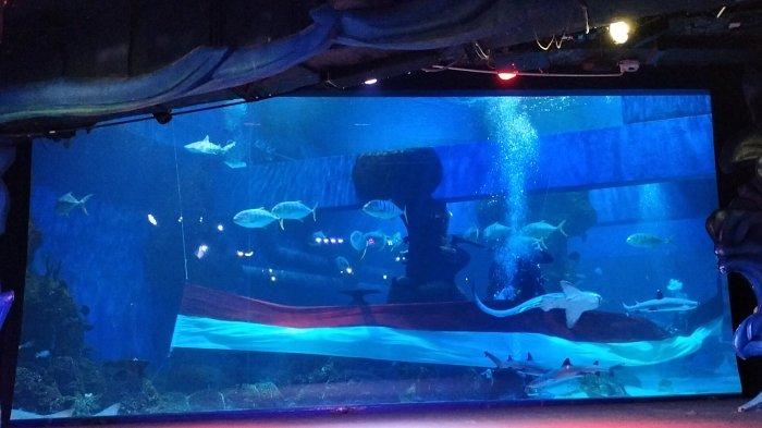 Pengibaran bendera merah putih underwater di Jakarta Aquarium Safari, Jakarta Barat, Kamis (17/8/2023)
