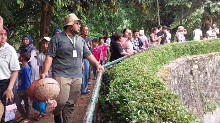 Zoo keeper yang merawat Harimau Benggala, Ibnu Tri Putro, di Taman Margasatwa Ragunan, Pasar Minggu, Jakarta Selatan, Selasa (26/12/2023).