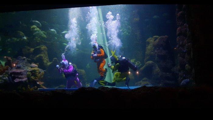 pertunjukan Rabbit Underwater Show - In Mission : Save The Ocean, yang digelar di Seaworld Ancol, dalam menyambut libur Paskah, akhir pekan ini.