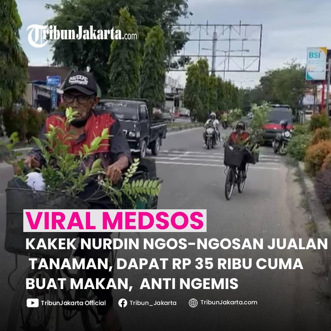 KLIK SELENGKAPNYA: Pilu kakek bernama Nurdin Sulaiman (83) Ngos-ngosan Mengayuh Sepeda Berkeliling Menawarkan Tanaman. Pantang Ngemis Meski Dagangan Tak Laku.