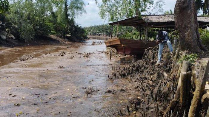 Puluhan Tahun Dusun Pandan Ulu, Kecamatan Geragai, Kabupaten Tanjung Jabung Timur (Tanjabtim) Jambi alami abrasi parah.