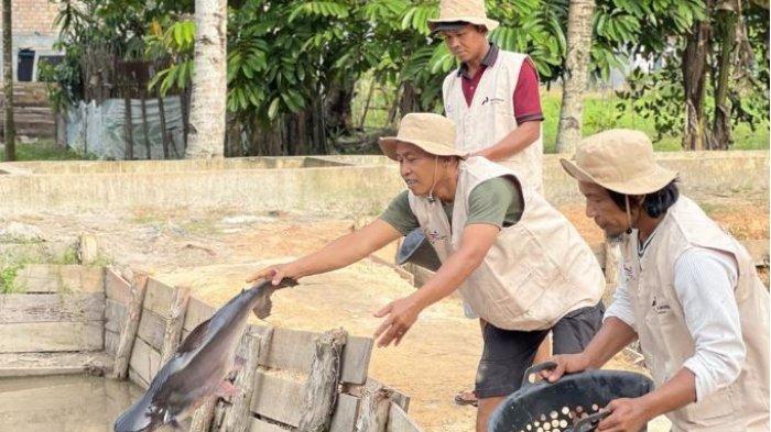 Pertamina Patra Niaga Regional Sumbagsel berhasil meraih 7 penghargaan dalam ajang 4th CSR & TJSL Award 2024 oleh BUMN Track yang diselenggarakan di Grand Ballroom Hotel Borobudur, Jakarta Pusat pada 30 Juli 2024.