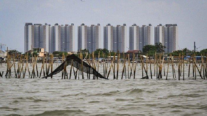 Aktivitas lanjutan pembongkaran pagar laut di Tanjung Pasir, Kabupaten Tangerang tidak terlihat pada Minggu (19/1/2025) yang dimulai Sabtu (18/1/2025)
