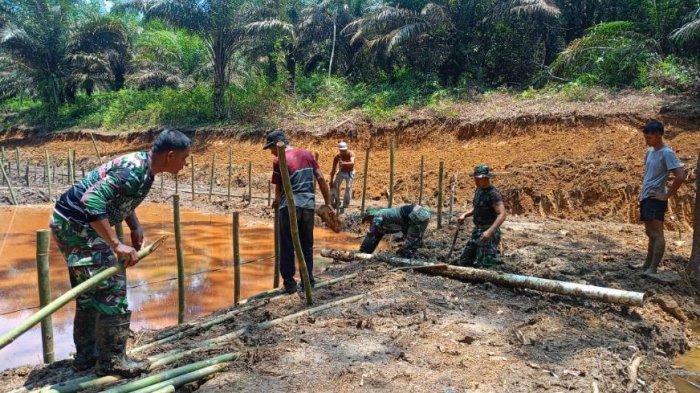 Satgas TNI Manunggal Membangun Desa (TMMD) ke 122 Kodim 0420 Sarko melaksanakan Program Ketananan Pangan di Desa Bedeng Rejo, Kecamatan Bangko Barat, Kabupaten Merangin, Jambi, Sabtu (19/10/2024).