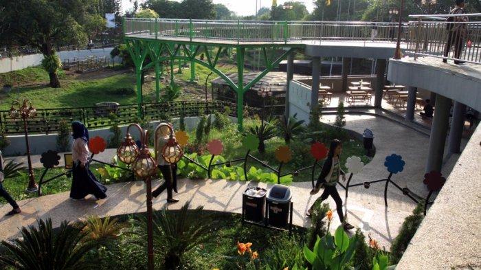 Taman Anggrek Sri Soedewi di Kota Jambi.