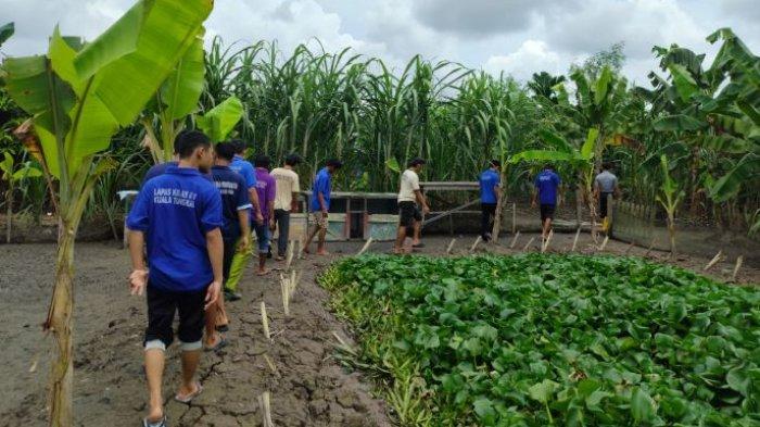 32 orang warga binaan Lapas Kelas IIB Kuala Tungkal mengikuti kegiatan kolaborasi mata pelajaran yang memilih lokus di Sarana Asimilasi dan Edukasi (SAE) Lapas Kuala Tungkal, Selasa (19/11/2024).