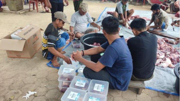 PLN UP3 Jambi dan UP2K Jambi melalui Yayasan Baitul Maal (YBM) menyerahkan 2 ekor sapi di Hari Raya Idul Adha 1445 H/2024 M