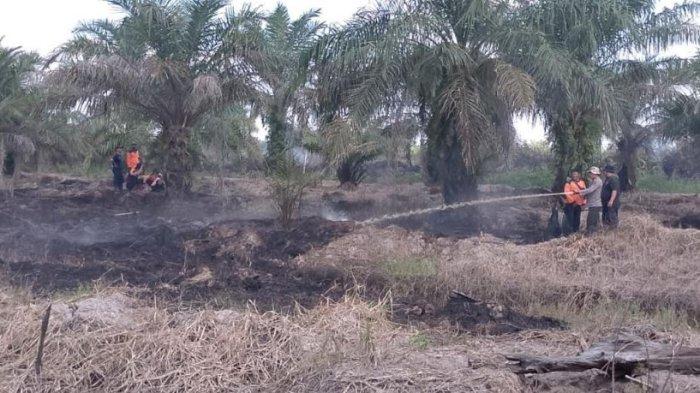 Petugas sedang melakukan upaya pemadaman kebakaran dilahan gambut di Kabupaten Tanjung Jabung Barat