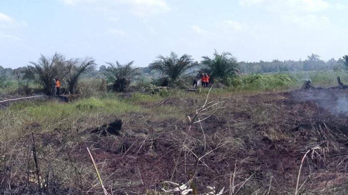 Petugas sedang melakukan upaya pemadaman kebakaran dilahan gambut di Kabupaten Tanjung Jabung Barat