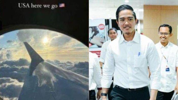 Kaesang Pangarep