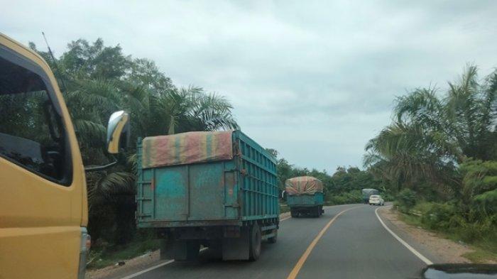 Puluhan Angkutan Batu Bara Nekat Melintas di Siang Hari di Sarolangun