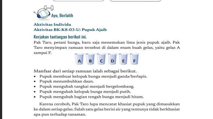 Pupuk Ajaib