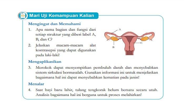 Struktur bagian organ tubuh