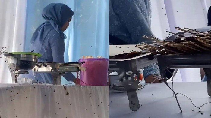 Viral resepsi pernikahan di Bandung, Jawa Barat diserbu lalat