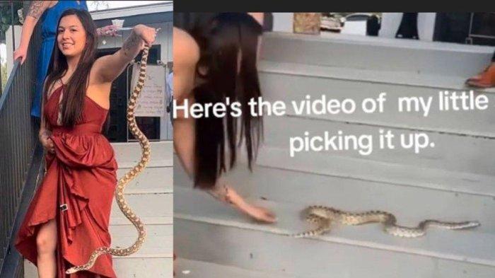 Viral video tamu wanita tangkap ular dengan tangan kosong di pernikahan di Arizona, Amerika Serikat.