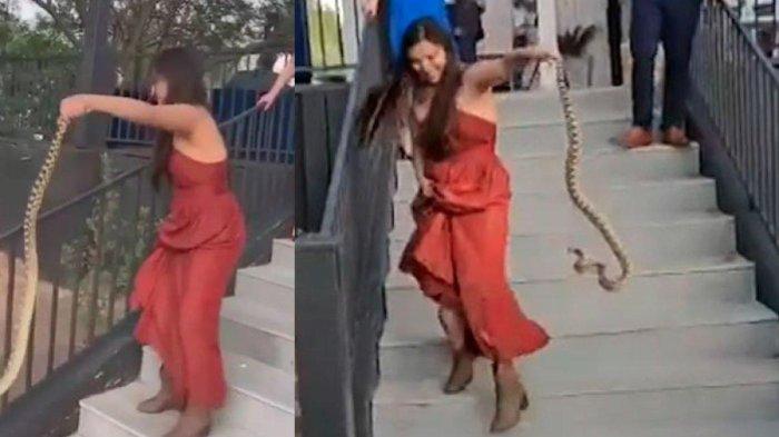 Viral video tamu wanita tangkap ular dengan tangan kosong di pernikahan di Arizona, Amerika Serikat.