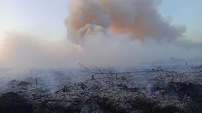 KARHUTLA - Asap kebakaran hutan dan lahan membubung tinggi di langit Desa Gambut Jaya, Kecamatan Sungai Gelam, Kabupaten Muaro Jambi, Senin (21/7). Sekira 50 hektare lahan dilalap api.