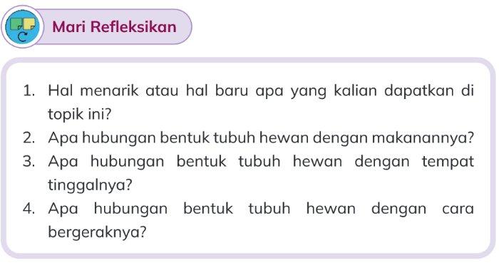 Gambar soal untuk kunci jawaban Ilmu Pengetahuan Alam dan Sosial Kelas (IPAS) III (3) SD/MI Kurikulum Merdeka Bab 1 Mari Kenali Hewan di Sekitar Kita halaman 19.