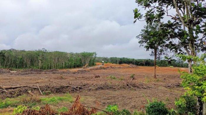 Proses pembebasan lahan untuk pembagunan jalan tol Jambi-Sumsel di Desa Muaro Sebapo, Kabupaten Muaro Jambi hampir 100 persen.