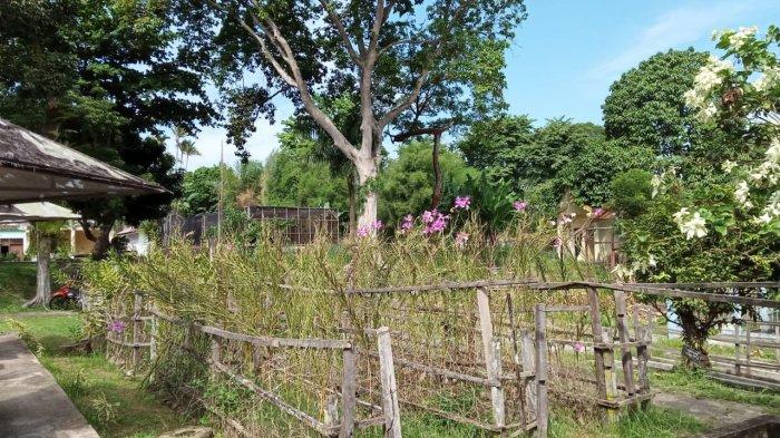 Taman Anggrek Sri Soedewi
