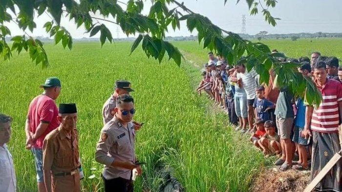 PENEMUAN JENAZAH DI DEMAK - Perempuan tanpa identitas ditemukan tewas di area persawahan Desa Wonoketingal, Kecamatan Karanganyar, Kabupaten Demak, Selasa (25/6/2025). (dok. Istimewa)