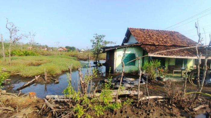 TERDAMPAK ROB - Kondisi rumah warga yang terendam air rob di Desa Kartikajaya, Kecamatan Patebon, Kabupaten Kendal, Selasa (1/7/2025). Rrob juga merendam 6 wilayah lainnya dan Pemkab Kendal berupaya memberikan bantuan logistik secara masif ke wilayah terdampak sesuai skala prioritas.