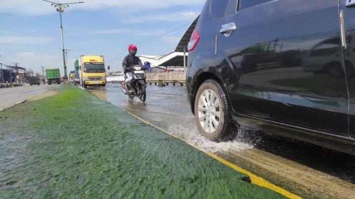 Salah seorang pemotor melintas di ruas jalan Pantura Sayung, Kabupaten Demak, Jawa Tengah yang ditumbuhi lumut, Selasa (8/7/2025)