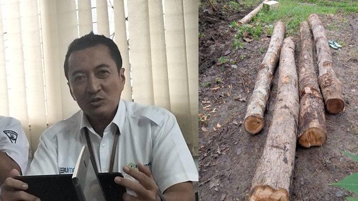 Administratur KPH Randublatung, Herry Merkussiyanto Putro dan barang bukti kayu jati yang ditebang.