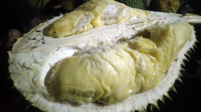 Durian lokal Menawan Kudus.