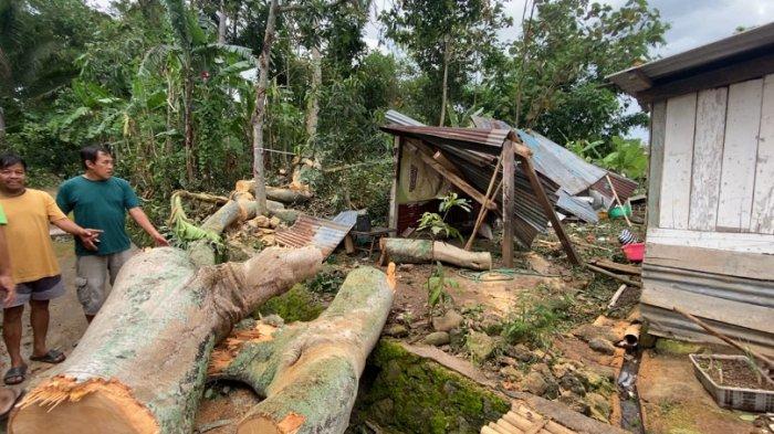 HANCUR - Kondisi bagian dapur rumah warga setempat yang hancur seusai tertimpa cabang pohon beringin yang tumbang di TPU Kridholoyo, Kelurahan Panjang, Kecamatan Ambarawa, Kabupaten Semarang tumbang, Rabu (29/1/2025) sore. Pohon tersebut tumbang seusai dilanda angin kencang.
