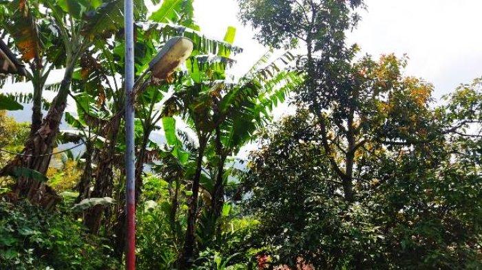 Lampu penerangan jalan umum yang terpasang di Dusun Cipondok, Desa Karangtengah, Kecamatan Cilongok, Banyumas. Lampu ini tersambung dengan PLTMH.