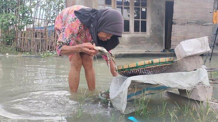 BANJIR - Marsiti yang beraktivitas di tengah banjir, menggunakan air banjir untuk mencuci ikan yang didapat dari sungai, untuk nantinya dikonsumsi oleh keluarganya atau dijual ke tetangganya.