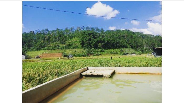 Pemandian Air Hangat Tegalsari Wonosobo