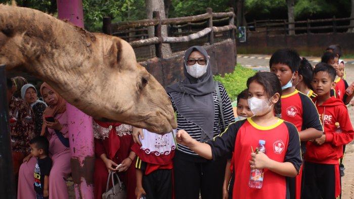 Pengunjung bercengkrama dengan satwa di Semarang Zoo.